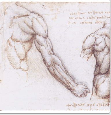 The Role of Muscles and Genes in the Science of Longevity